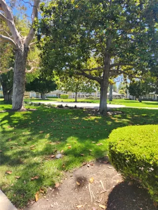 Photo #4: NP23123385 Listing 