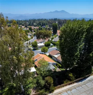 Photo #4: NP23129823 Listing