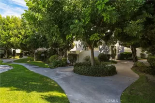 Photo #2: NP23178497 Listing 