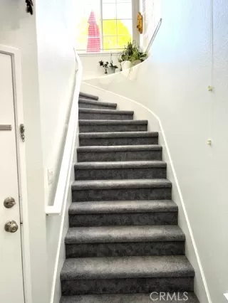 Photo #5: NP23203640 Listing