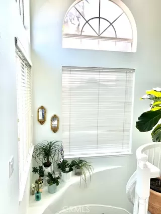 Photo #6: NP23203640 Listing