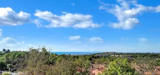 Photo #3: NP23205487 Listing 