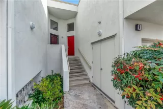 Photo #3: NP24002989 Listing 