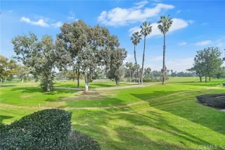 Photo #1: NP24010449 Listing