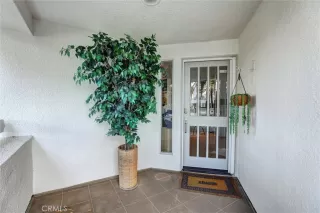 Photo #1: NP24026783 Listing