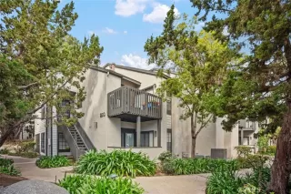 Photo #1: NP24031539 Listing 