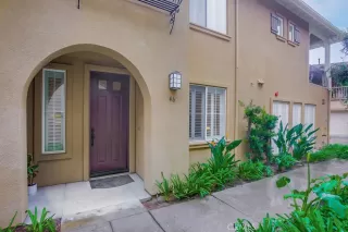 Photo #1: NP24035306 Listing 