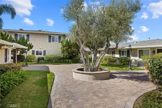 Photo #2: NP24049998 Listing 