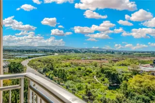 Photo #2: NP24060917 Listing