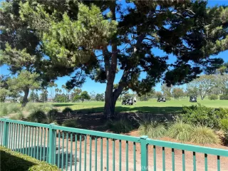 Photo #2: NP24168536 Listing 