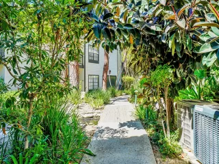 Photo #1: NP24172329 Listing 