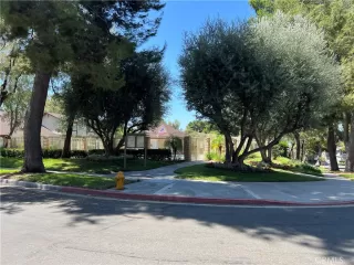 Photo #5: NP24192264 Listing 