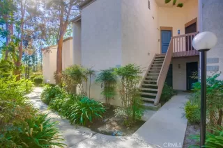 Photo #1: NP24218329 Listing 