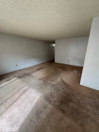 Photo #6: NP25019542 Listing 