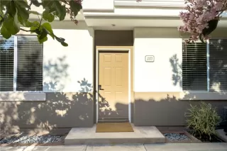 Photo #5: NP25073517 Listing 