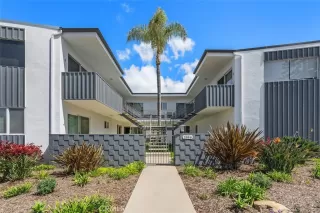 Photo #1: NP25075473 Listing 