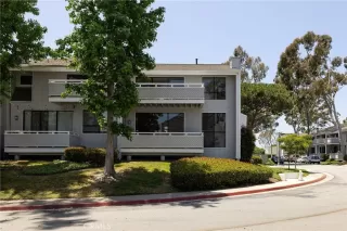 Photo #4: NP25118581 Listing