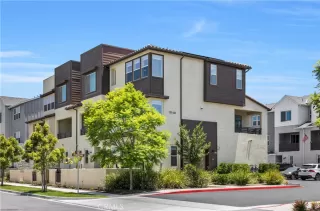 Photo #2: NP25139764 Listing 