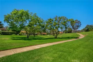 Photo #2: NP25169777 Listing 