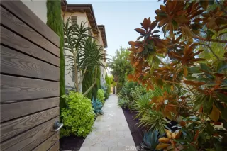 Photo #3: NP25246172 Listing 