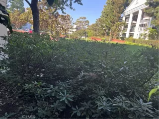 Photo #2: NP25248382 Listing 