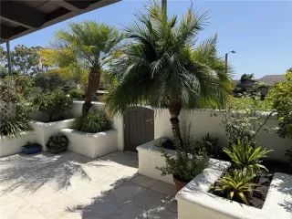 Photo #5: NP26029044 Listing 