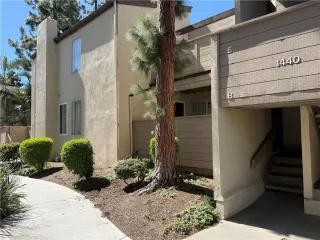 Photo #5: NP26052230 Listing 