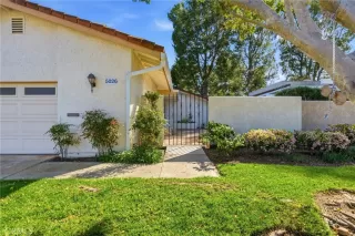 Photo #1: NP26054761 Listing 
