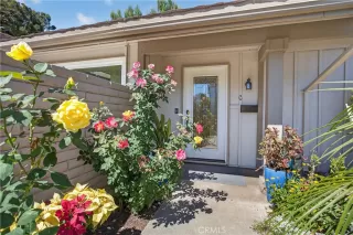 Photo #1: NP26061514 Listing