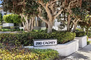 Photo #5: NP26088079 Listing 