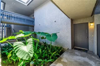 Photo #2: NP26111699 Listing