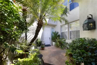 Photo #1: NP26112043 Listing