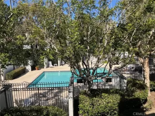 Photo #2: NP26127512 Listing