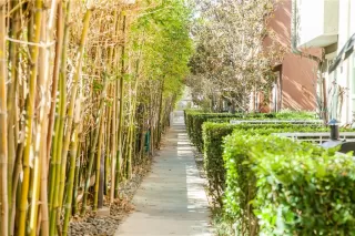 Photo #4: OC22224463 Listing