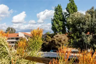 Photo #4: OC22227274 Listing