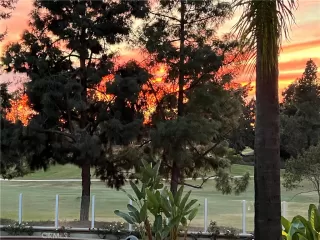 Photo #3: OC22246137 Listing 