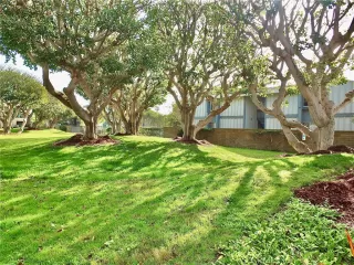 Photo #5: OC23004499 Listing 