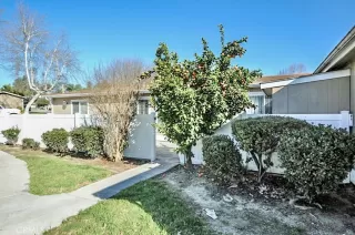 Photo #2: OC23012580 Listing