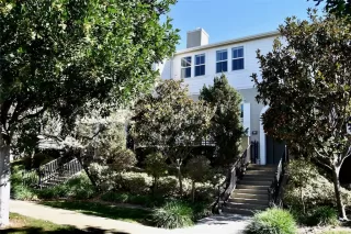 More Details about MLS # OC23038699 : 66 FRINGE TREE