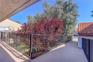 Photo #1: OC23048837 Listing