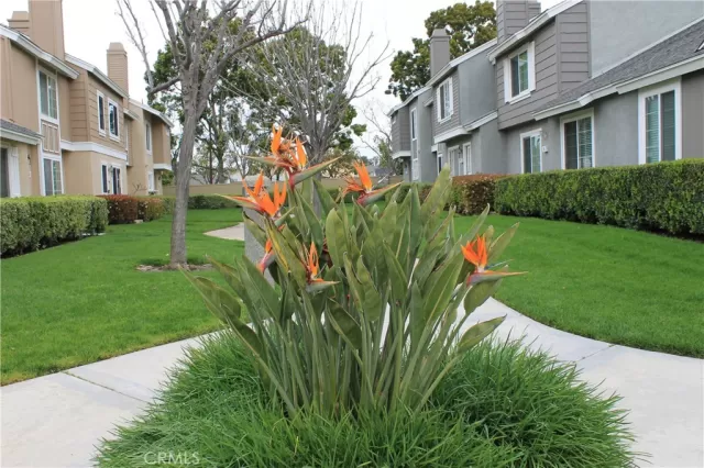 MLS: OC23060216 Condo For Sale