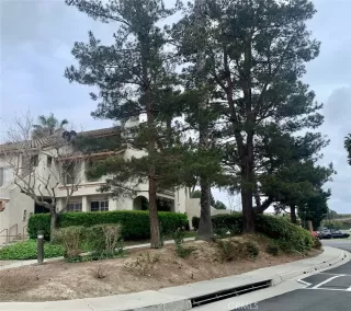 Photo #1: OC23061614 Listing 