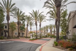 Photo #2: OC23063886 Listing