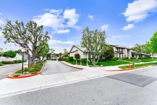 Photo #1: OC23070814 Listing