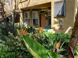 Photo #2: OC23072014 Listing 