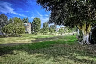 Photo #4: OC23073466 Listing