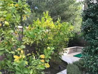 Photo #5: OC23075878 Listing 