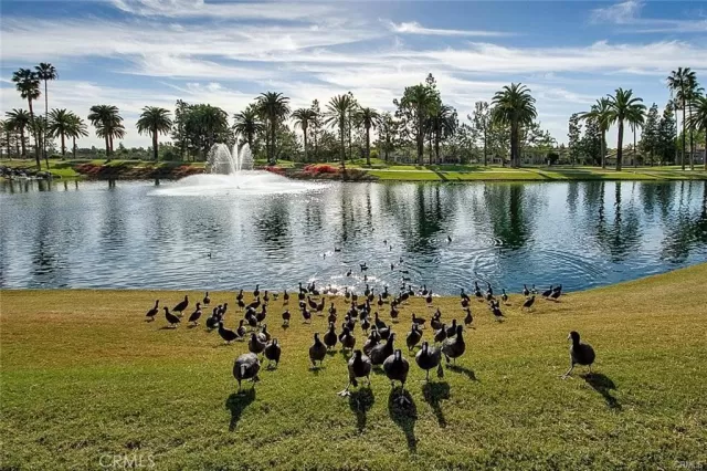 MLS: OC23097034 Condo For Sale