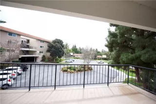 Photo #4: OC23103987 Listing