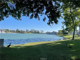 Photo #2: OC23113966 Listing